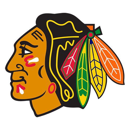 Blackhawks logo